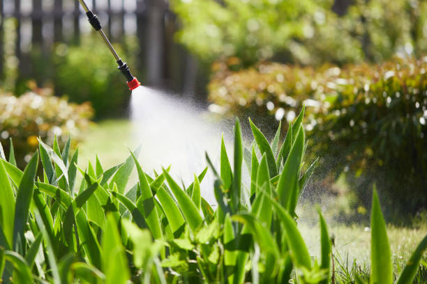 24/7 Emergency Mosquito Control experts in Remerton, GA